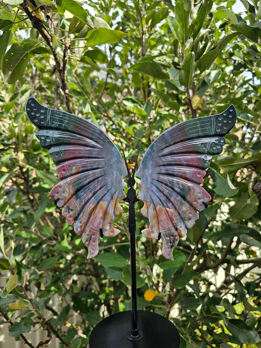 Ocean Jasper Butterfly