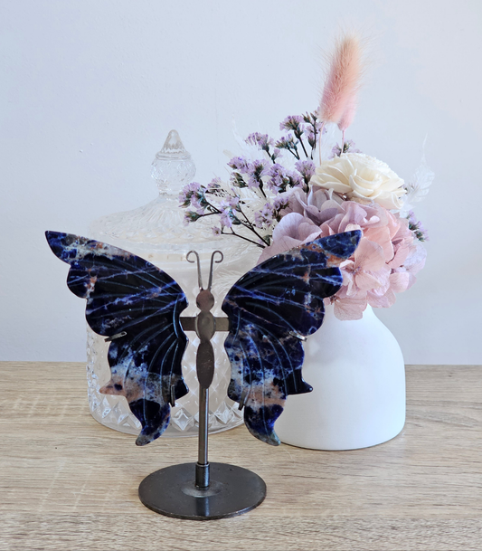 Sodalite Butterfly on Stand