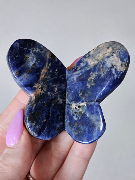 Sodalite Butterfly