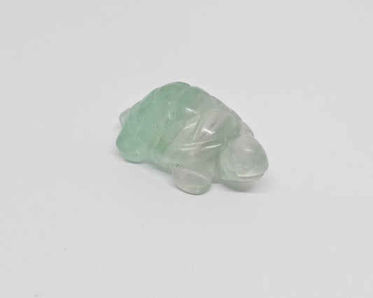 Mini Fluorite Turtle Carving