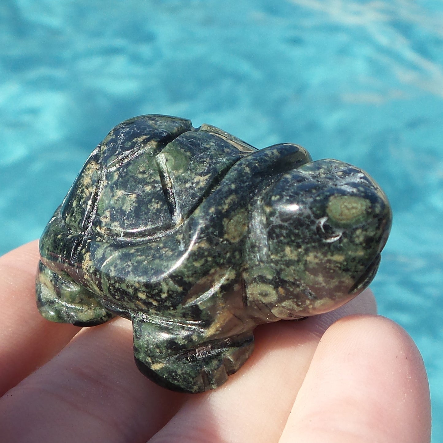 Kambaba Jasper Turtle