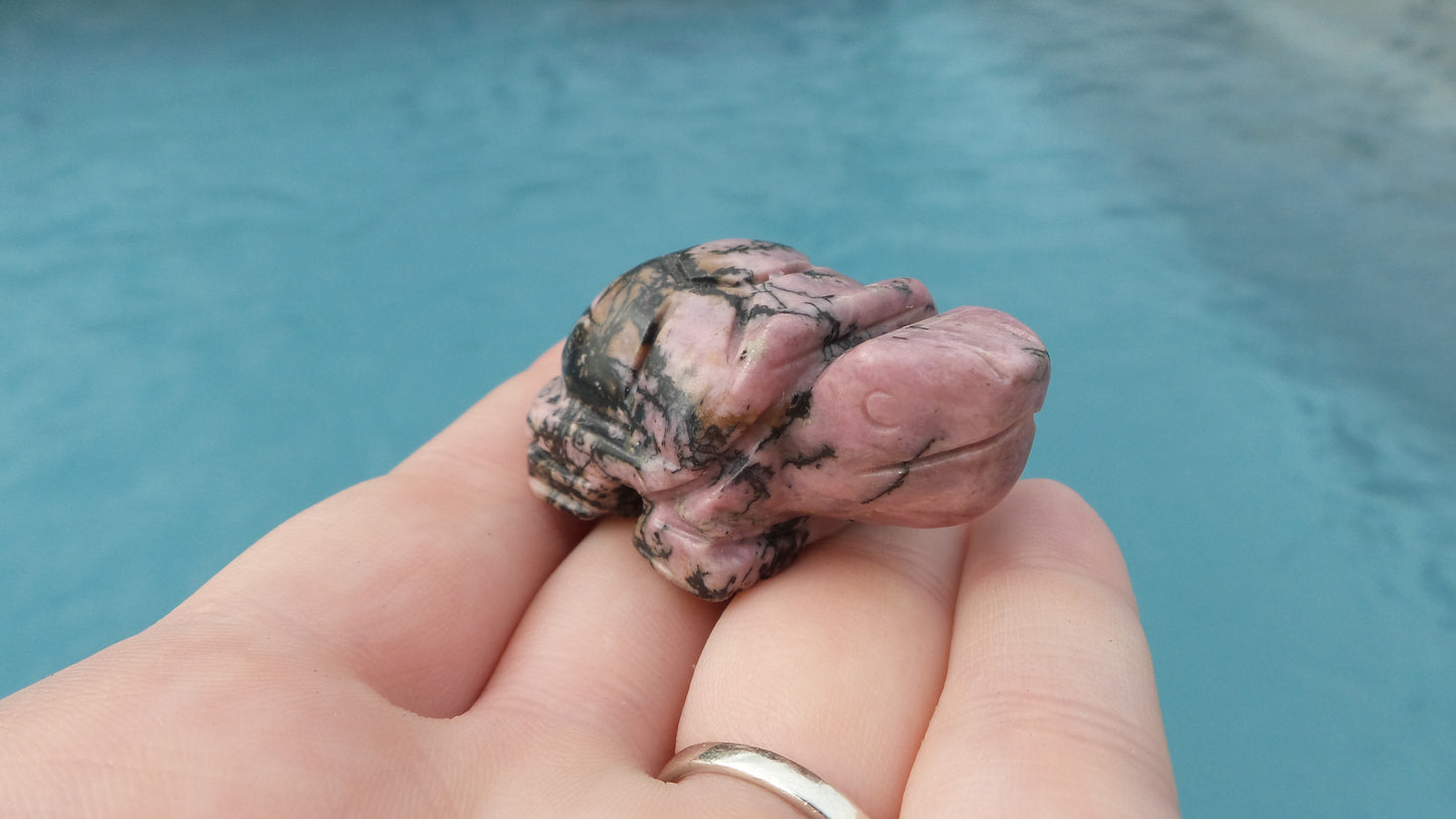 Rhodonite Turtle