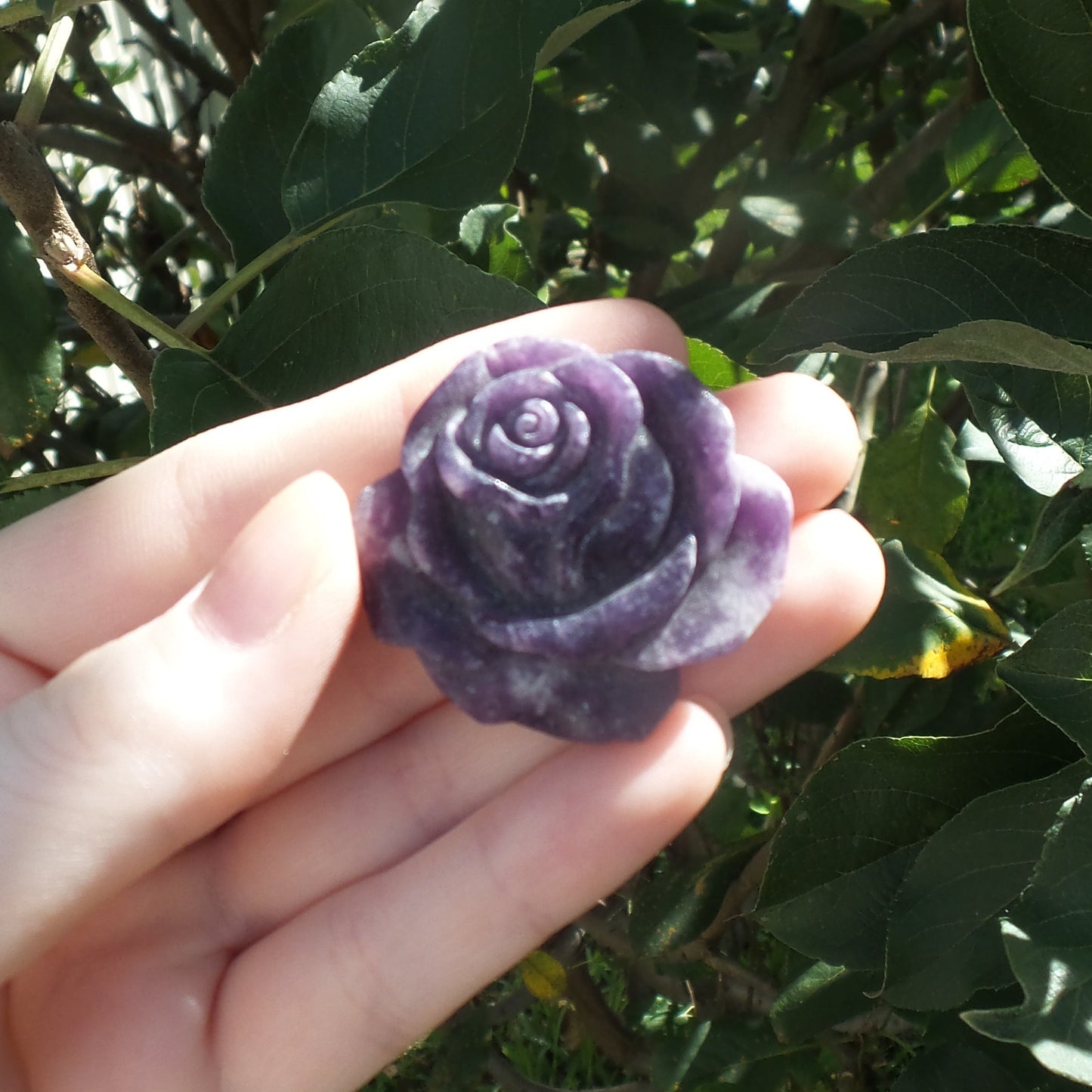 Lepidolite Rose Carvings