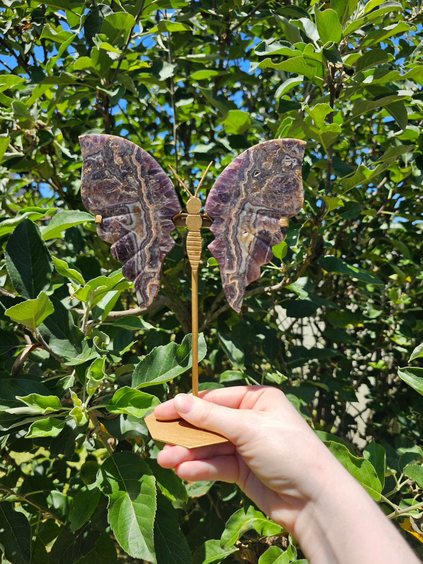 Amethyst Butterfly