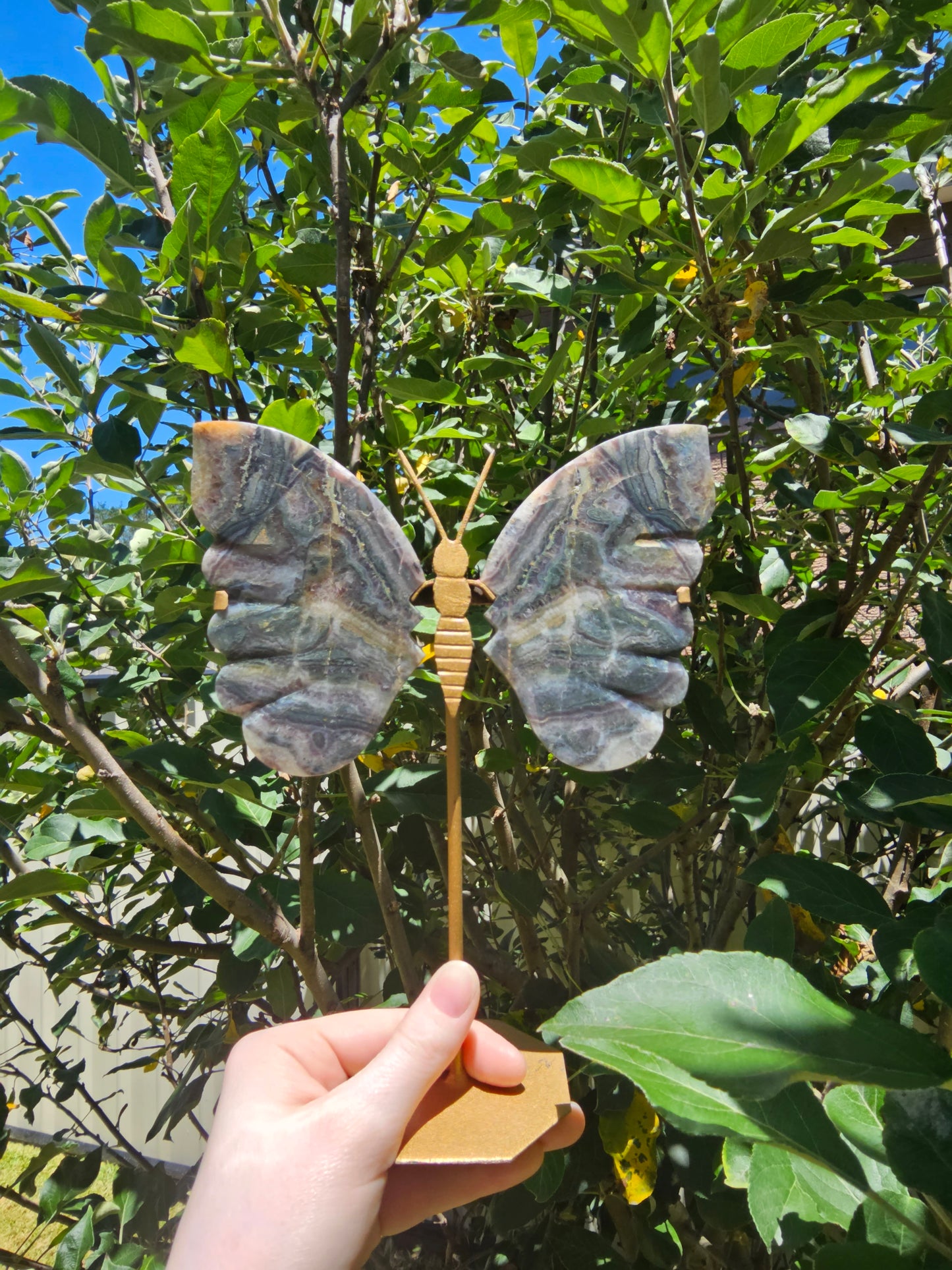 Amethyst Butterfly